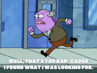 season 5 GIF by SpongeBob SquarePants