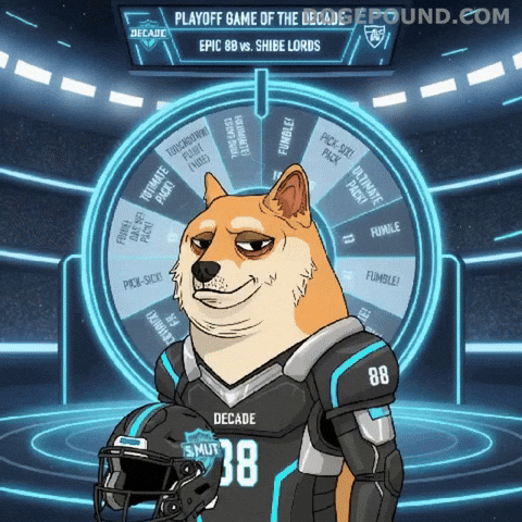 Shiba Inu Football GIF by Doge Pound