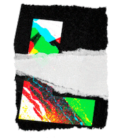 Art Fashion Sticker