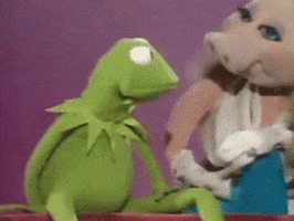 the muppets feminism GIF