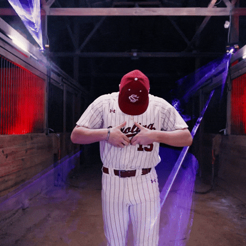 Home Run Celebration GIF by Gamecock Athletics