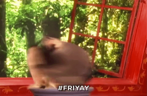 GIF by WildBrain