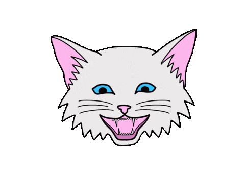 Mad Cat Sticker by Jasi