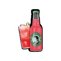 Cheers Watermelon Sticker by Thomas Henry