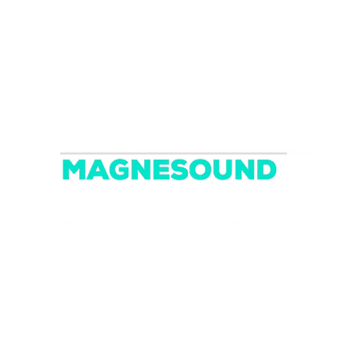 Magnesound giphygifmaker giphyattribution music magnesound GIF