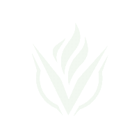 Logo Sticker by Vigor Labs