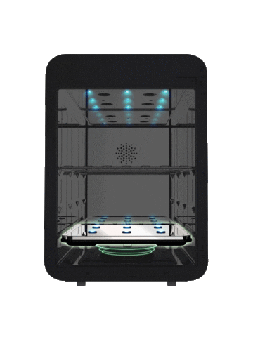 Madeinkorea Sticker by HAENIM