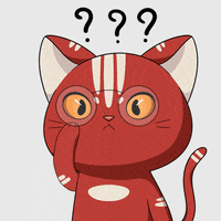 Wait What Idk GIF by Kitaro World