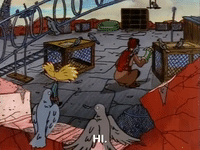 hey arnold nickelodeon GIF