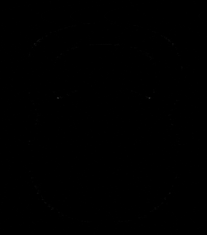 Kettlebell Functional Training GIF by FTSA