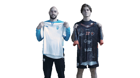 Sport Sticker by SCO Handball