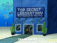 season 6 boating buddies GIF by SpongeBob SquarePants