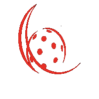 Salibandy Sticker by Unihockey Schüpfheim