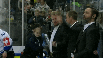 Happy Ev Zug GIF by Champions Hockey League