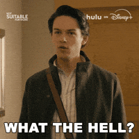 Tv Show Friends GIF by HULU