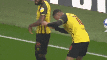 Joao Pedro Soccer GIF by Watford Football Club