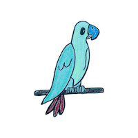 Parrot Nft Sticker by Digital Pratik
