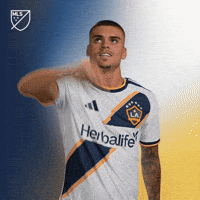 La Galaxy Book GIF by Major League Soccer