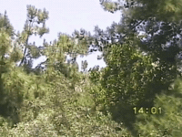Vhs Greece GIF by tomafotograaf