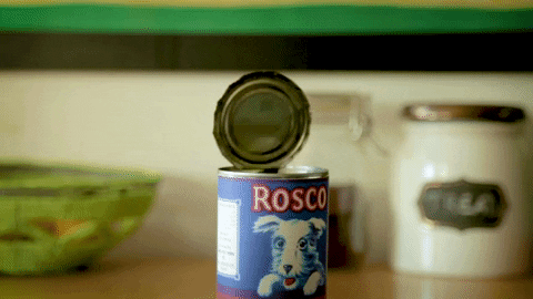 philiphodges giphygifmaker GIF