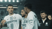 Football Win GIF by SK Sturm Graz
