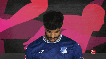 Tsg Hoffenheim Football GIF by Bundesliga