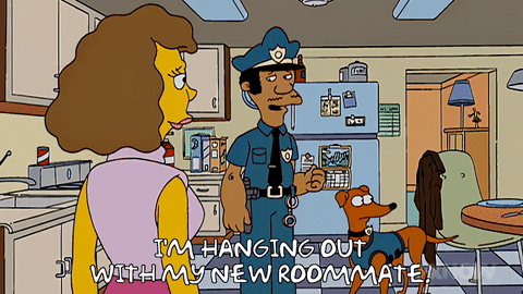 Season 18 Episode 20 GIF by The Simpsons