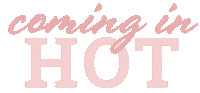 echobelser hot pink real estate realtor Sticker