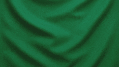 Imam Ali Pla GIF