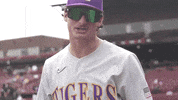 Baton Rouge Baseball GIF by LSU Tigers