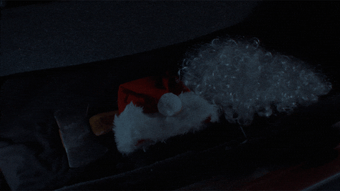 Santa Claus Christmas GIF by STUDIOCANAL