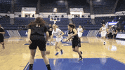 Air Force GIF by Air Force Falcons
