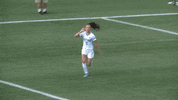 Air Force GIF by Air Force Falcons