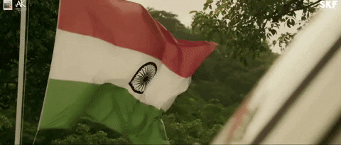 SalmanKhanFilms giphydvr dabangg 3 GIF