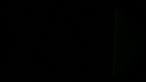 spy watching GIF by Yevbel