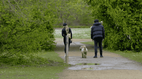 Dan Itv GIF by The Only Way is Essex
