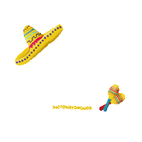 Cinco De Mayo Party Sticker by 360 Tour Toronto