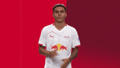 Football Celebration GIF by RB Leipzig