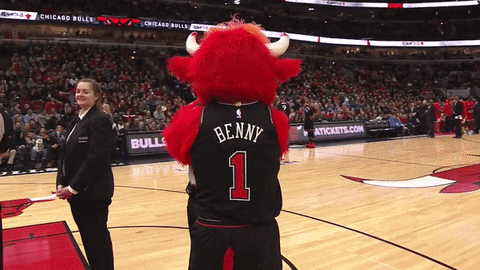 benny the bull bulls mascot GIF by Chicago Bulls
