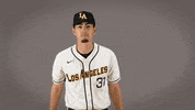 Baseball Calstatela GIF by Cal State LA Golden Eagles