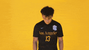 Cal State La Soccer GIF by Cal State LA Golden Eagles