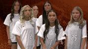 Cnws GIF by Carson-Newman Athletics