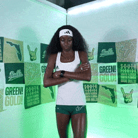 South Florida Horns Up GIF by USF Athletics