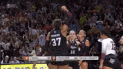Texas Am Volleyball GIF by Texas A&M Athletics