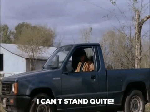 kohltrain giphygifmaker enough kool thing hal hartley GIF