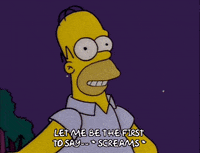 homer simpson episode 10 GIF