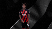 Logo Sign GIF by Eintracht Frankfurt