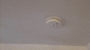Fire Safety GIF by No Cheese Records