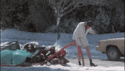 national lampoons christmas vacation GIF