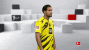 Posing Line Up GIF by Bundesliga